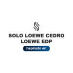 Recuerda a Solo Loewe Cedro Loewe (2015) | Perfume de hombre de 55ml 2 Inspirado en Solo Loewe Cedro Edp
