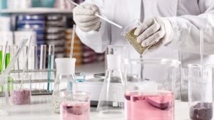 Cómo se crean los perfumes