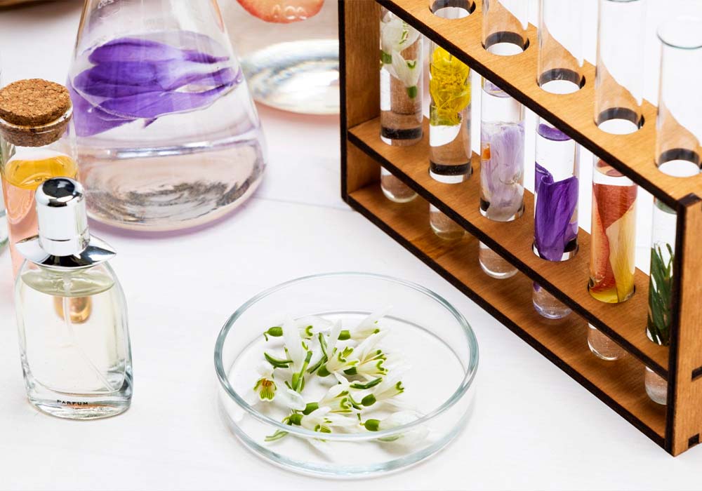 ¿Sabes cómo se crean los perfumes? (2024) 2 Que se necesita para crear un perfume