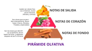 pirámide olfativa
