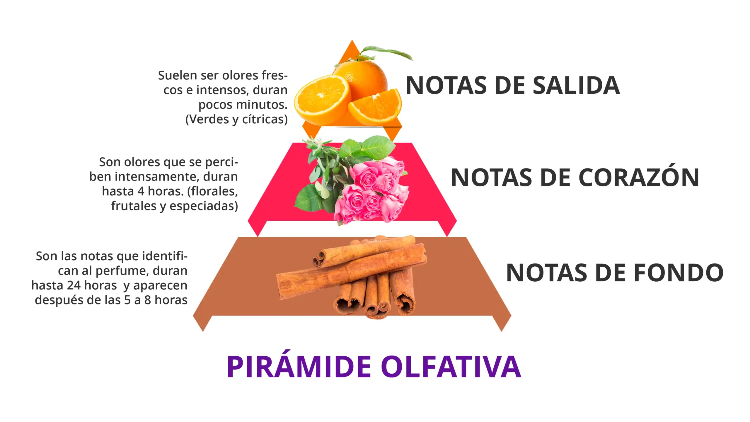 pirámide olfativa